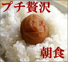 梅干し　店長おすすめ商品